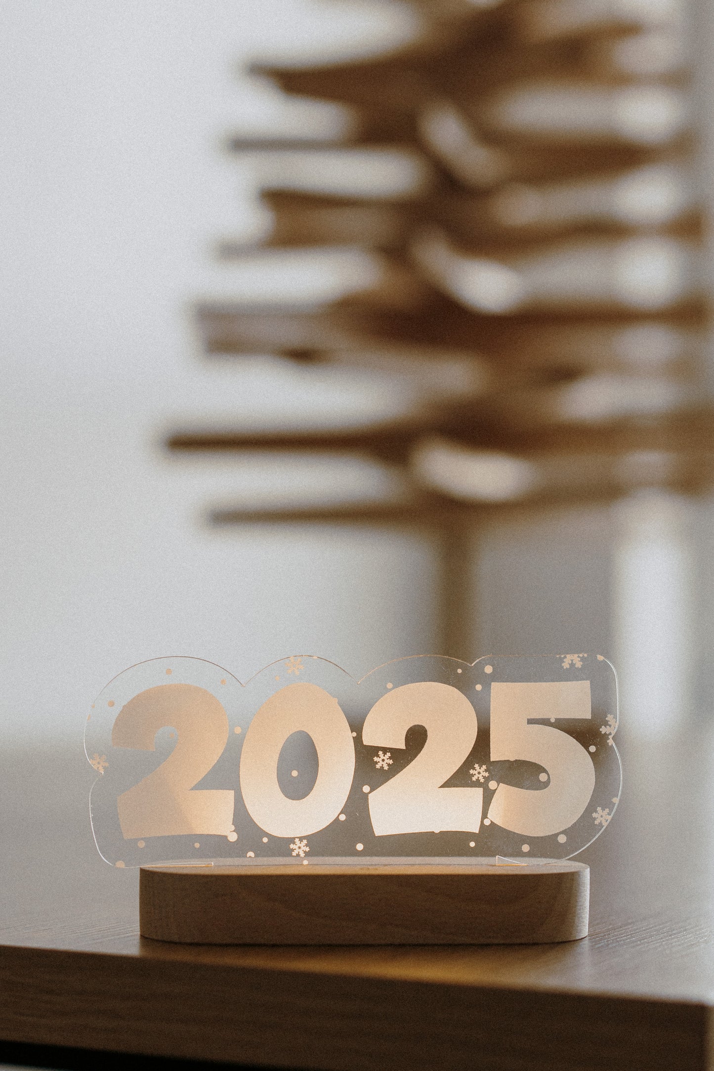 Night Lights 2025