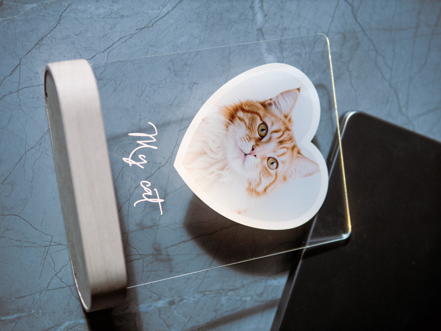 Cat Photo Night Light