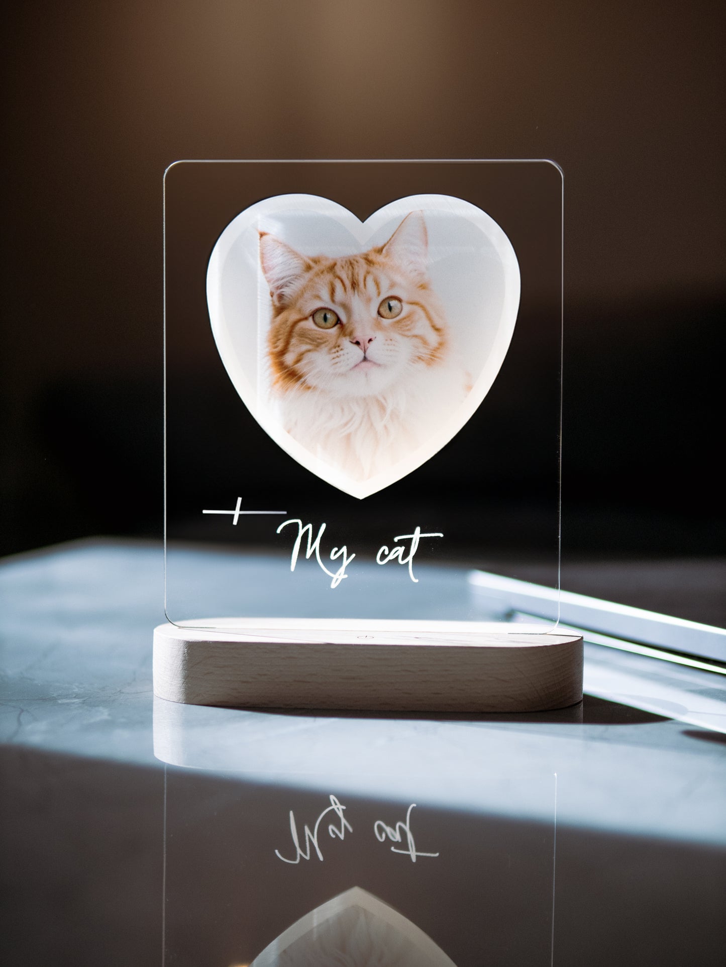 Cat Photo Night Light