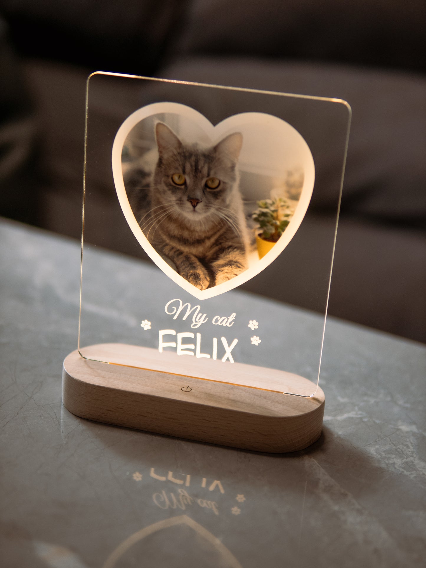 Cat Photo Night Light