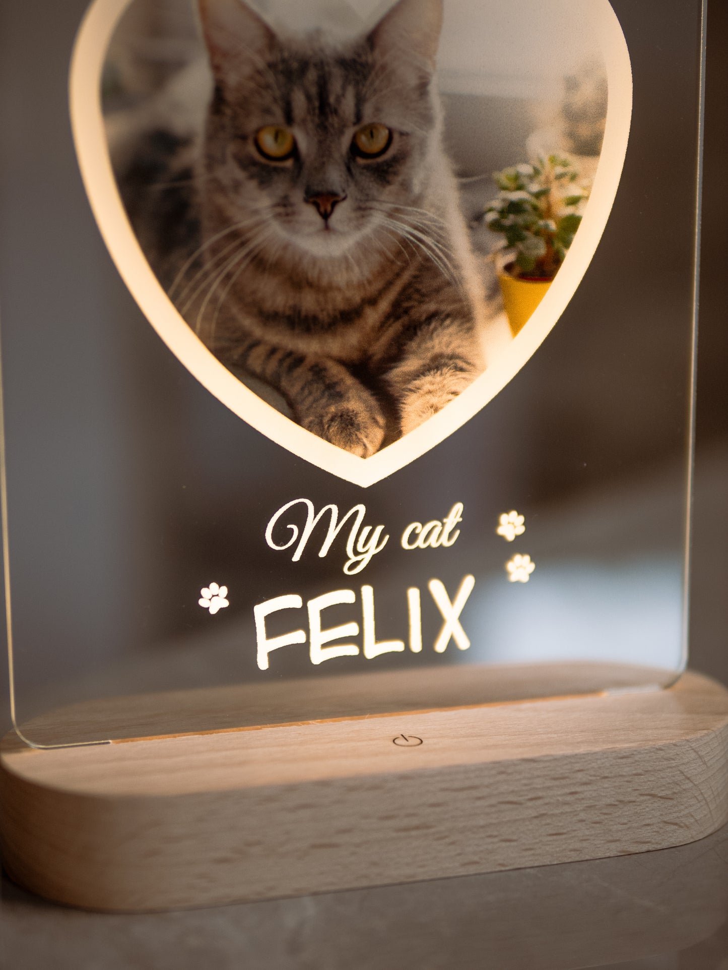 Cat Photo Night Light