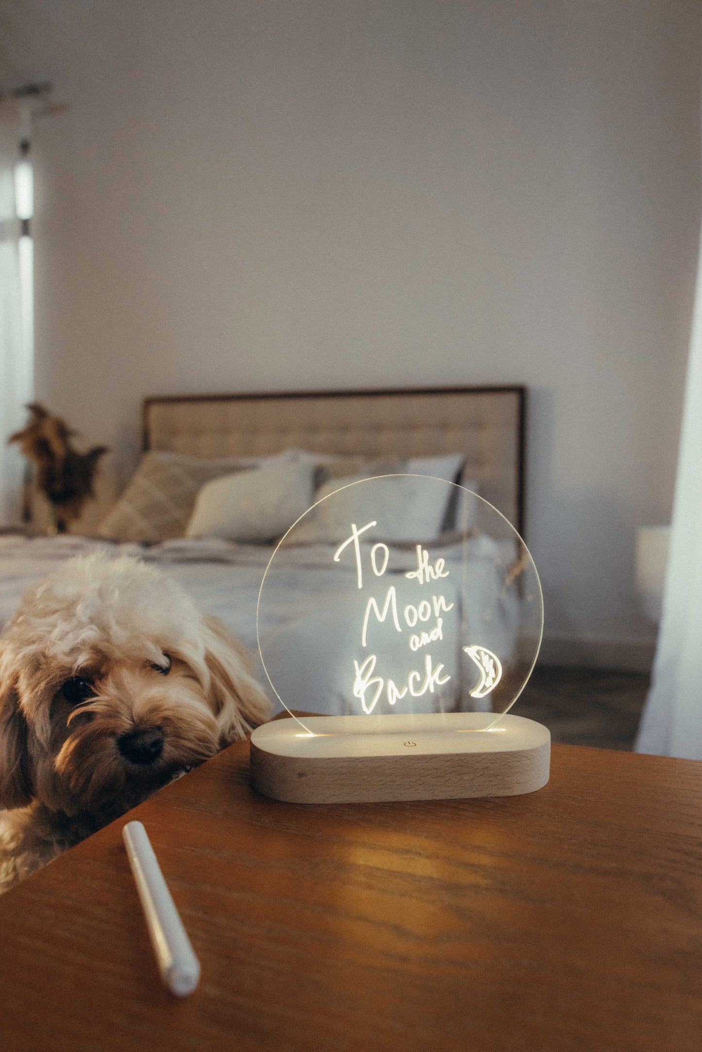 Erase Board With Night Light