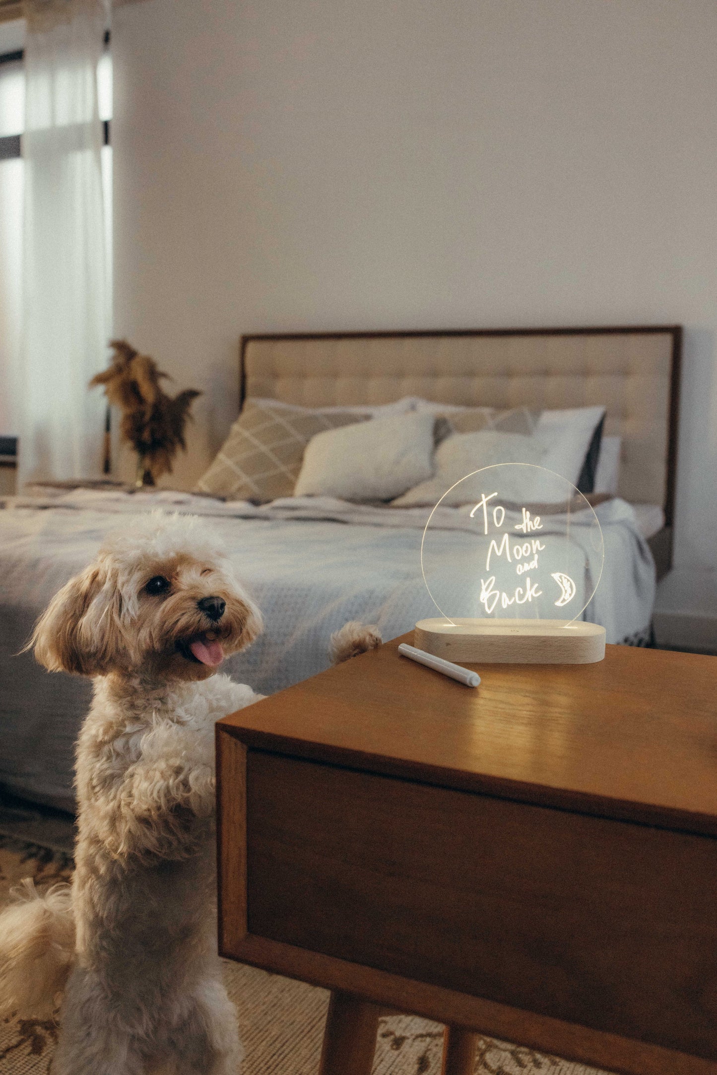 Erase Board With Night Light