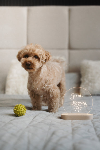 Erase Board With Night Light