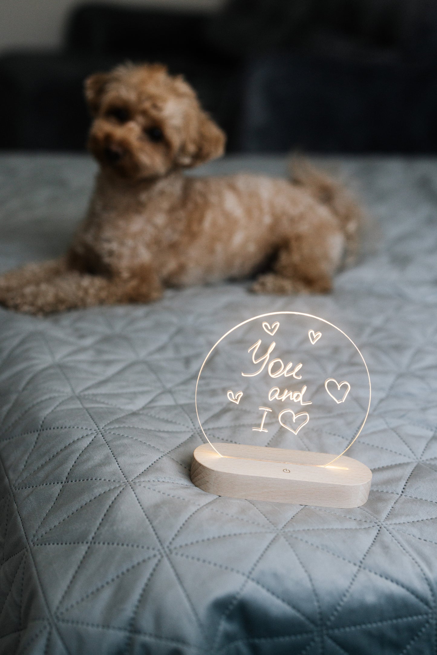 Erase Board With Night Light