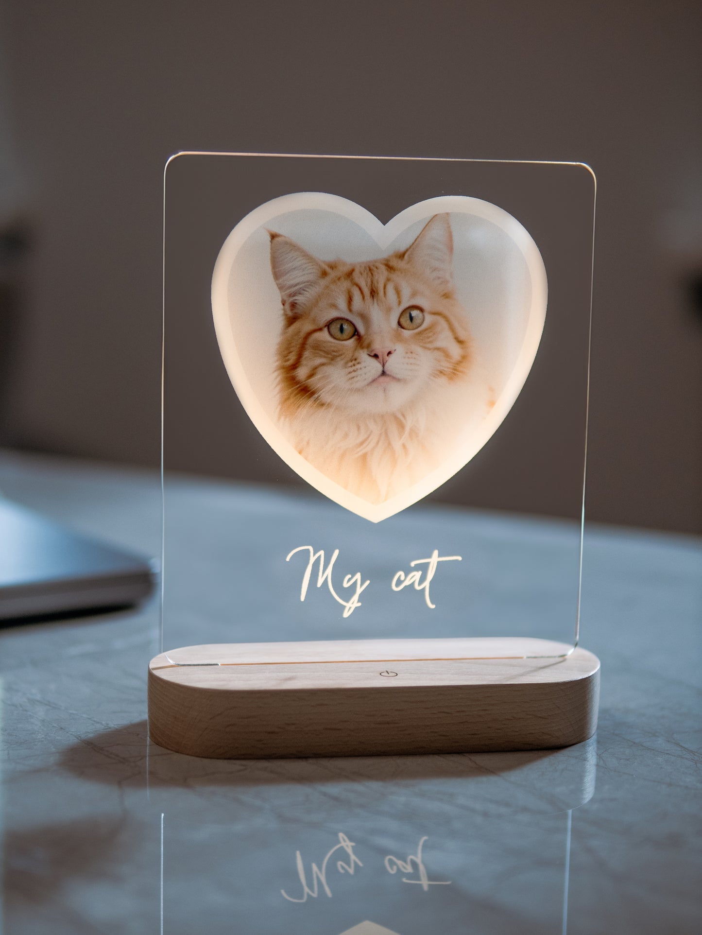 Cat Photo Night Light