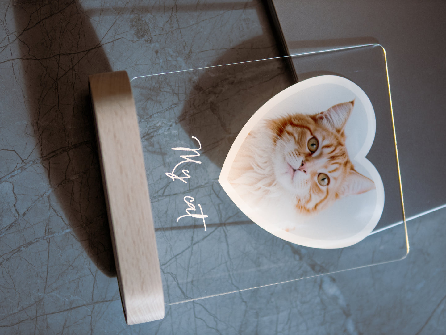 Cat Photo Night Light