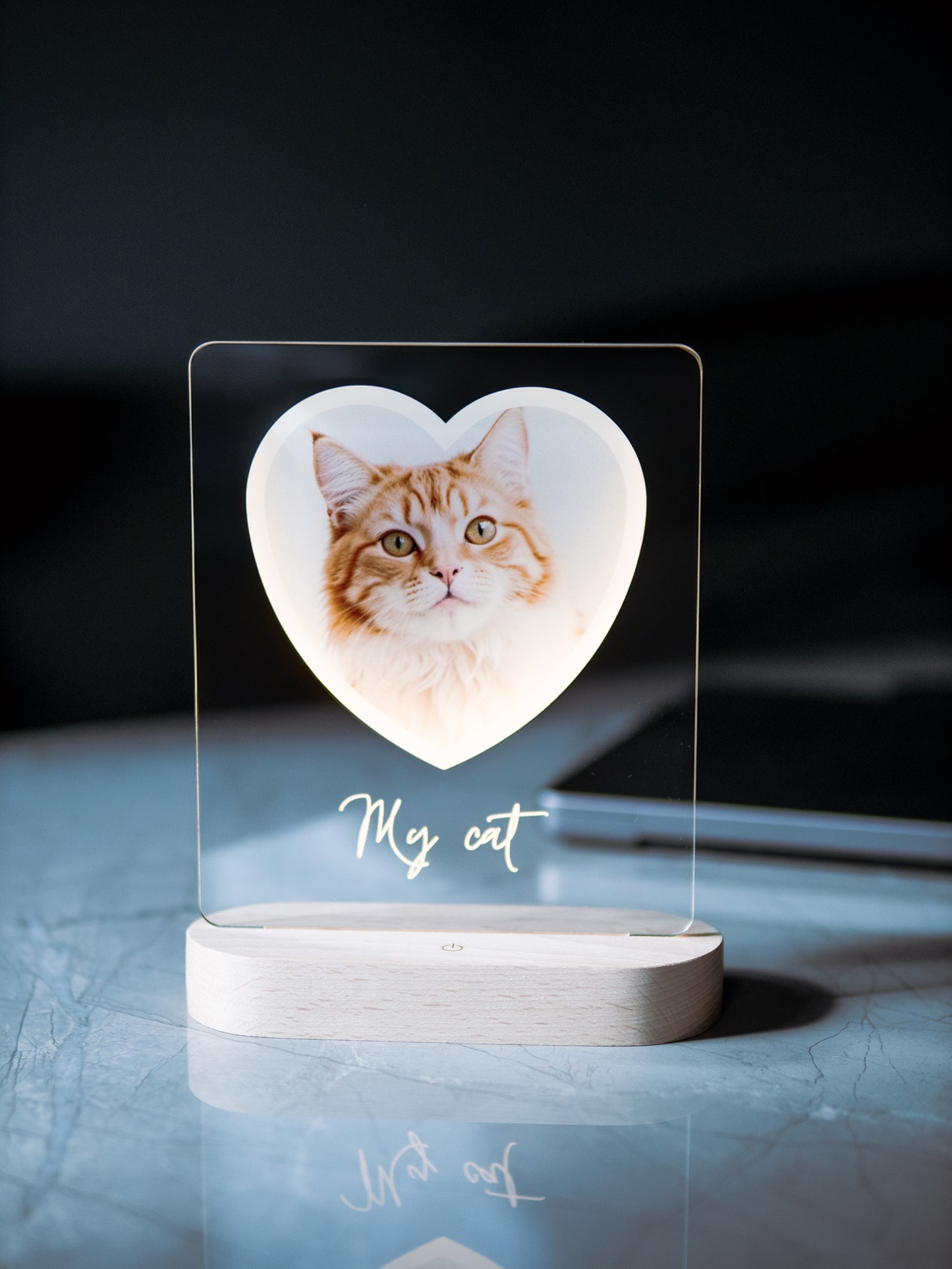 Cat Photo Night Light