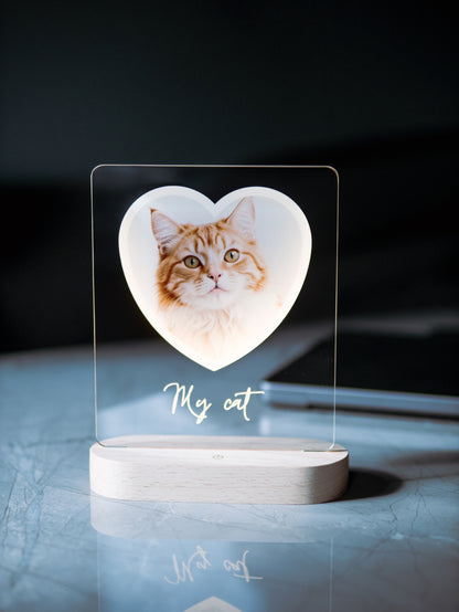 Cat Photo Night Light