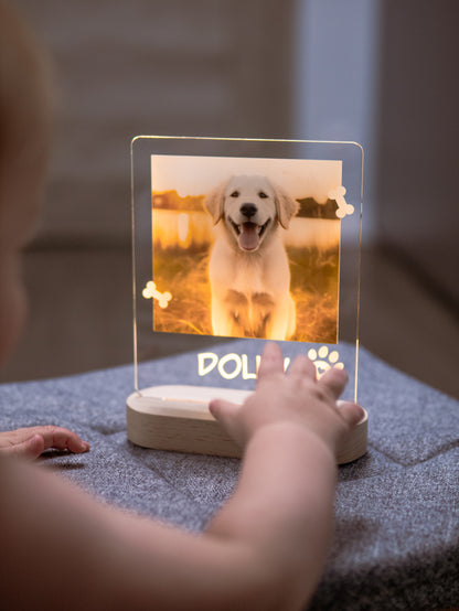 Night Light with Dog Photo