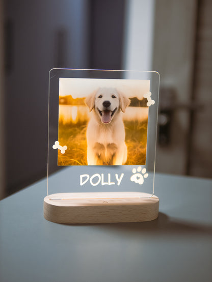 Night Light with Dog Photo