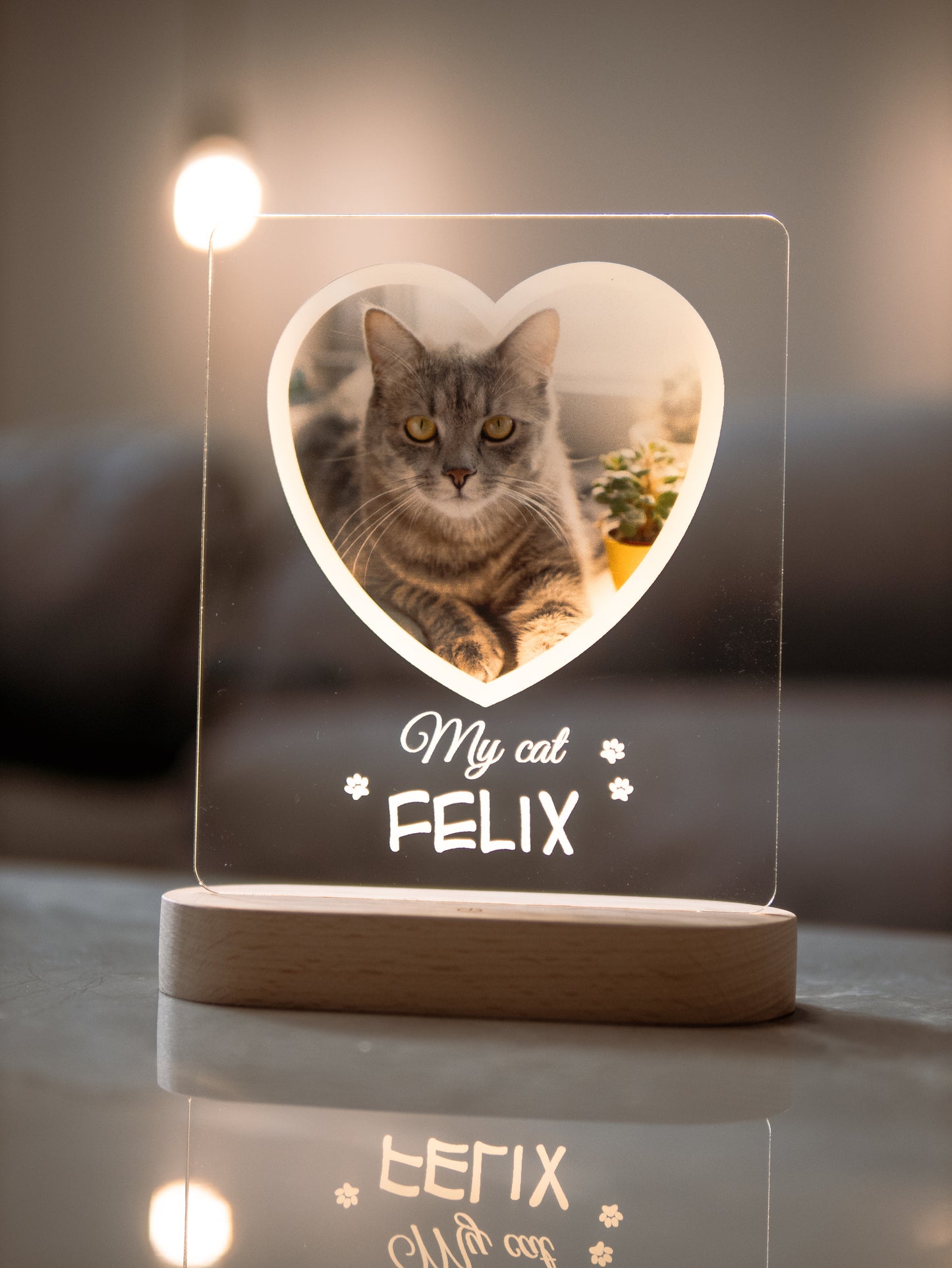 Cat Photo Night Light