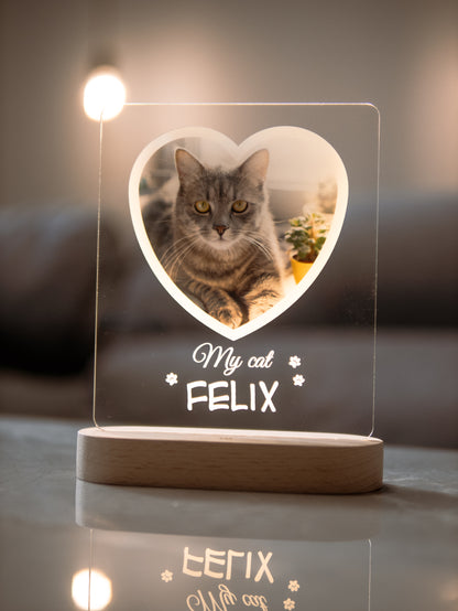 Cat Photo Night Light