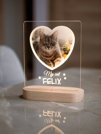 Cat Photo Night Light