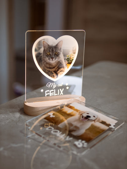 Cat Photo Night Light