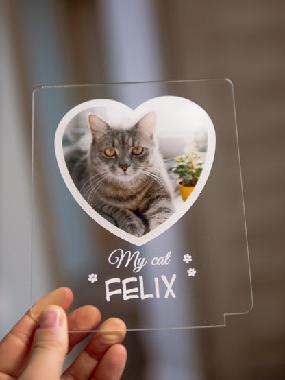 Cat Photo Night Light
